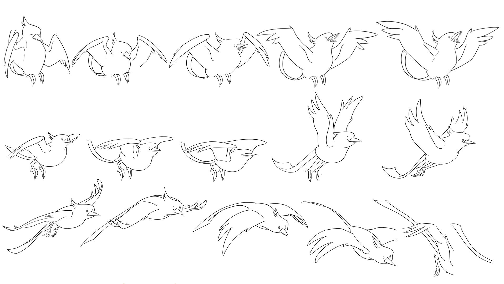 Animation Process